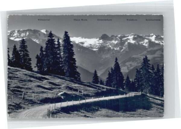 Zweisimmen [Handschriftlich] Wildstrubel Gletscher