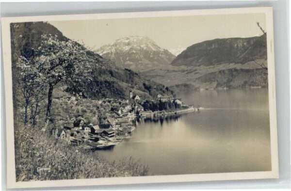 Gersau Vierwaldstaettersee Gersau
