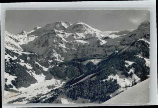 Lenk Simmental Oberried