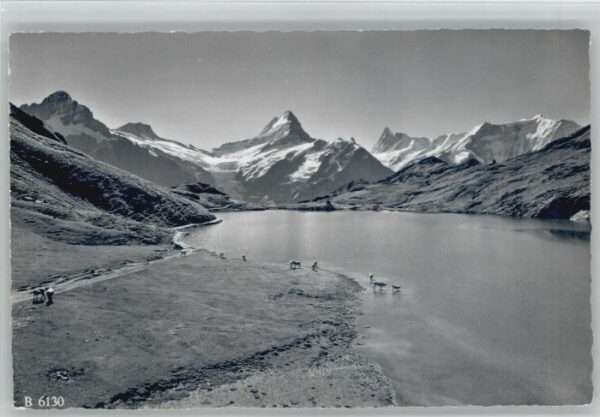 Grindelwald Bachsee