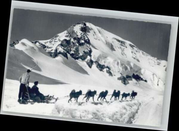 Jungfrau BE Jungfrau Polarhunde