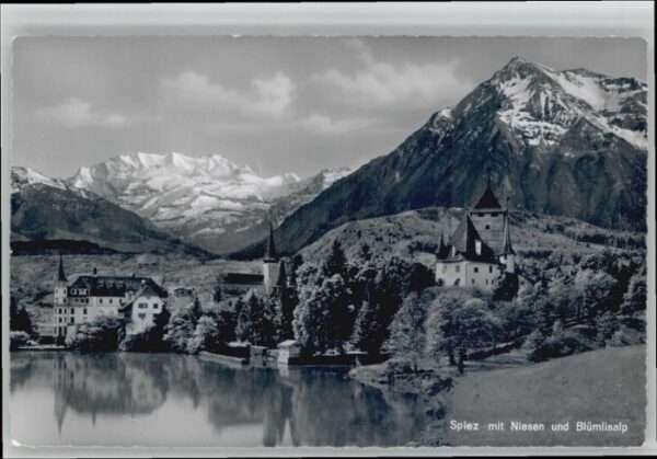 Spiez BE Spiez Niesen Blümlisalp