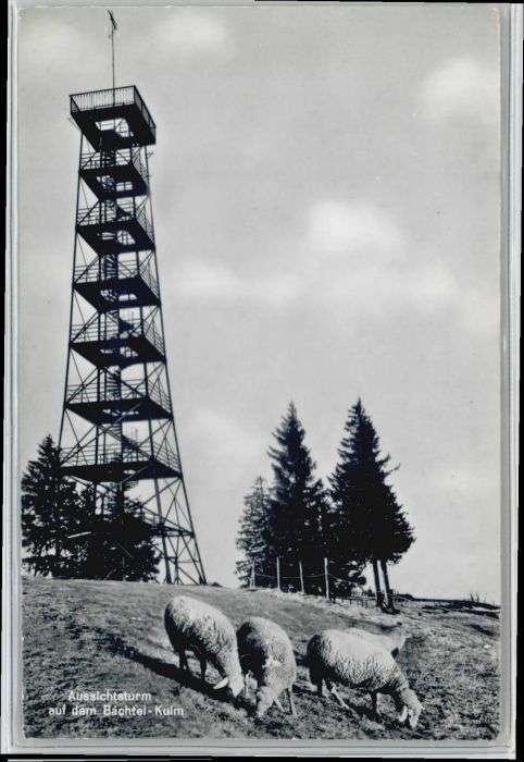 Bachtel Kulm Bachtel