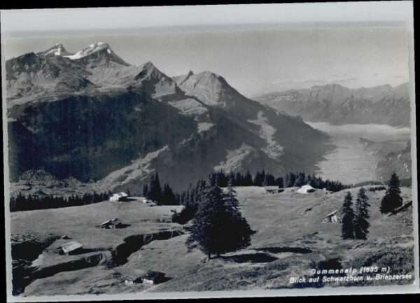 Gummen Alp