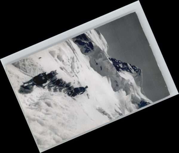 Jungfrau BE Jungfrau Polarhunde