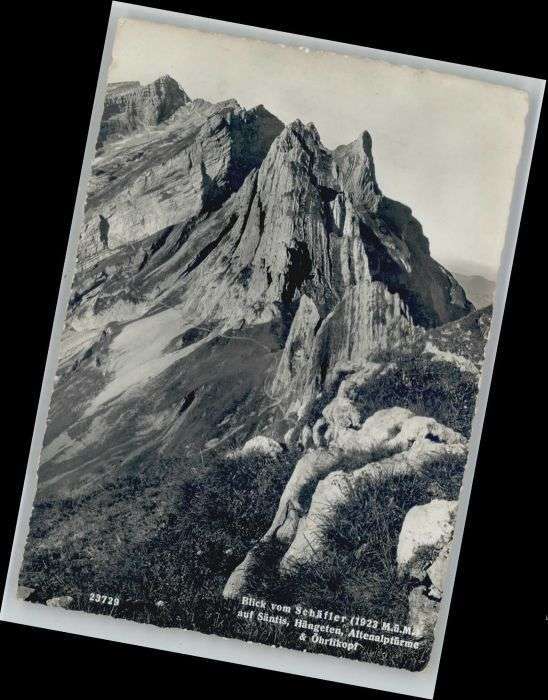 Schaefler