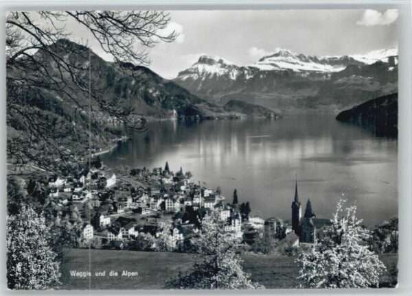 Weggis Vierwaldstaettersee Weggis