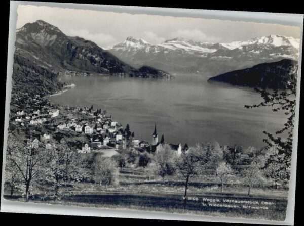 Weggis Vierwaldstaettersee Weggis Vitznauerstock