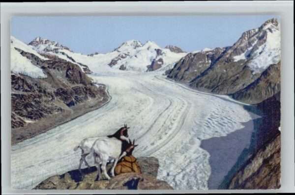 Jungfrau BE Jungfrau Mönch Eiger Eggishorn