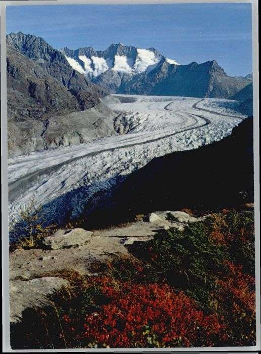 Grimsel Pass Grimsel Aletschgletscher Wannenhorn