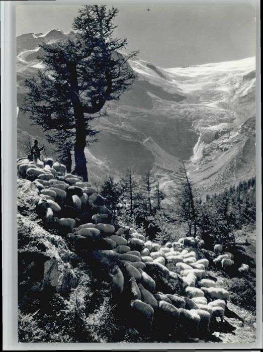 Alp Gruem
