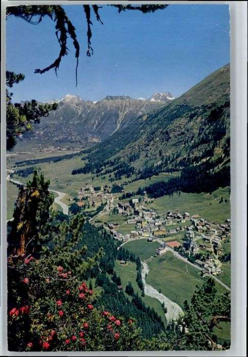 Pontresina Crasta Mora Piz Kesch