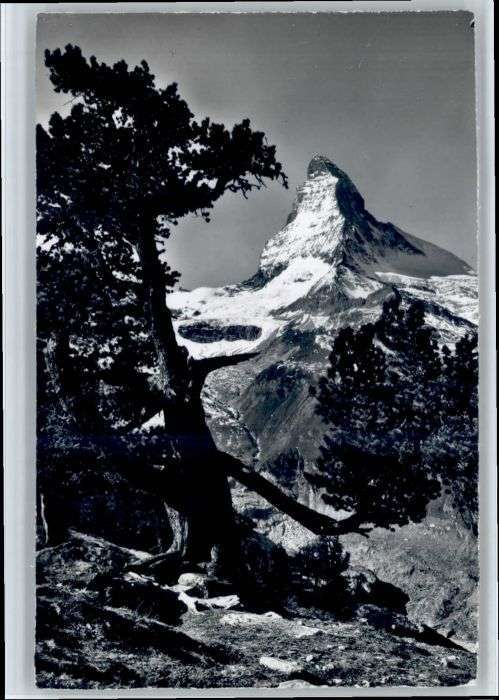 Zermatt VS Zermatt Rifelalp