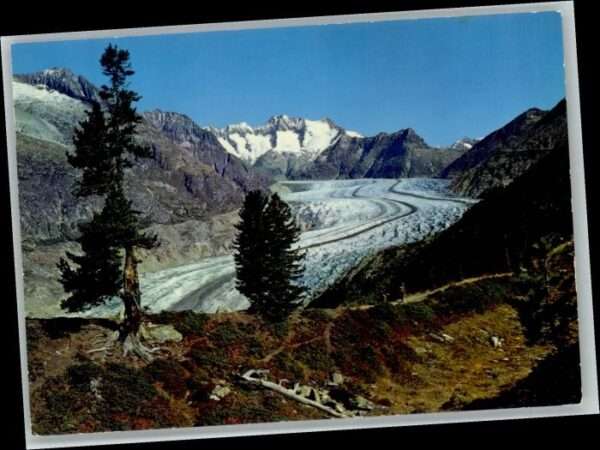 Aletschgletscher