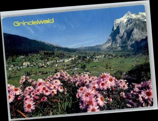 Grindelwald Wetterhorn