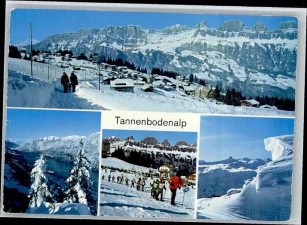 Flumserberg Bergheim Tannenbodenalp
