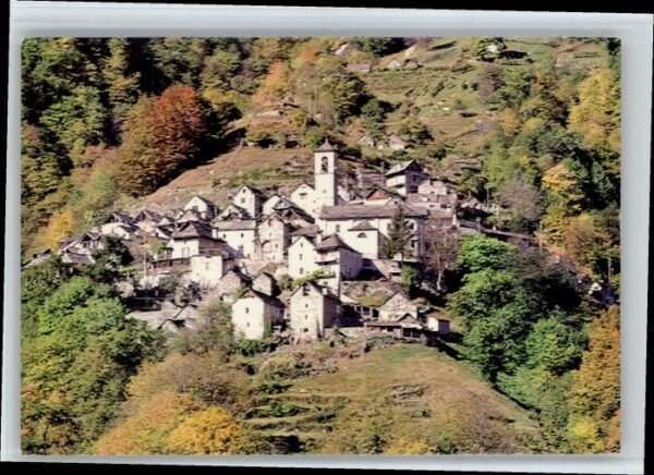 Corippo