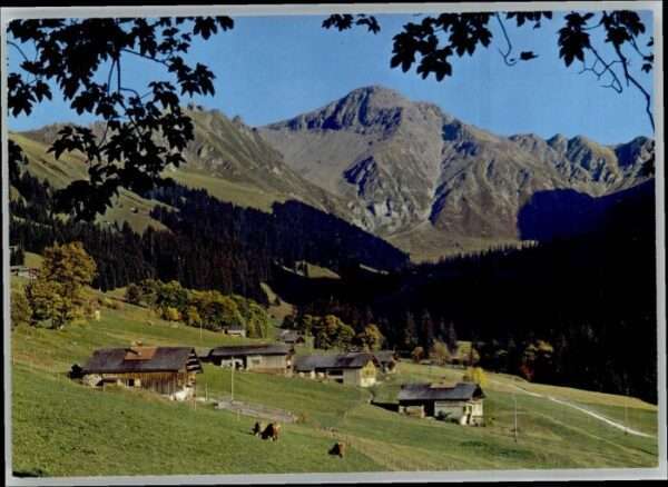 Gsuer