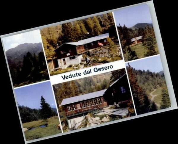 Bellinzona Vedute dal Gesero