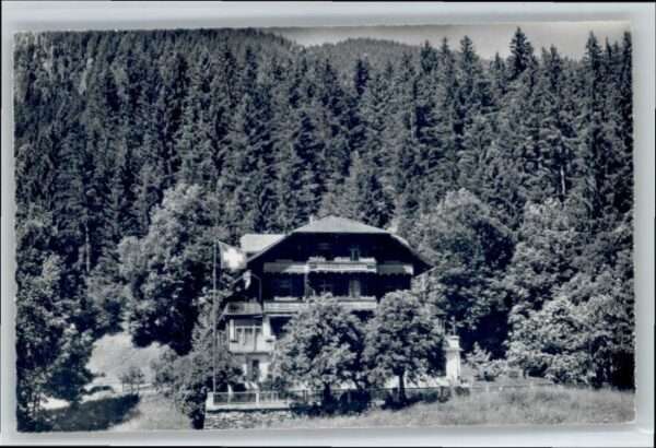 Grindelwald Wald Hotel Bellary