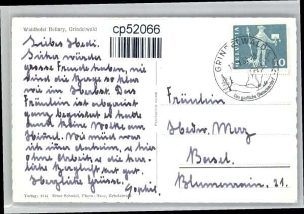 Grindelwald Wald Hotel Bellary – Bild 2