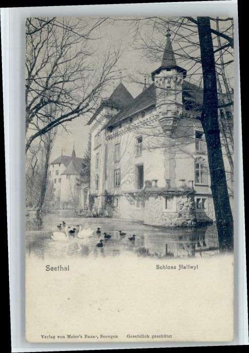Hallwil Schloss