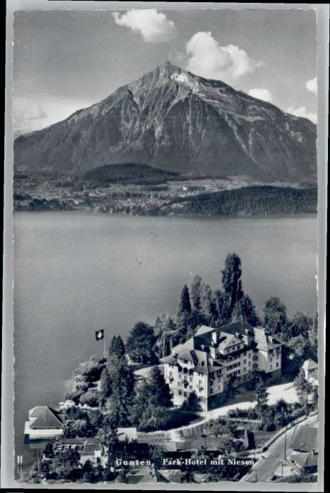 Gunten Park Hotel  Niesen