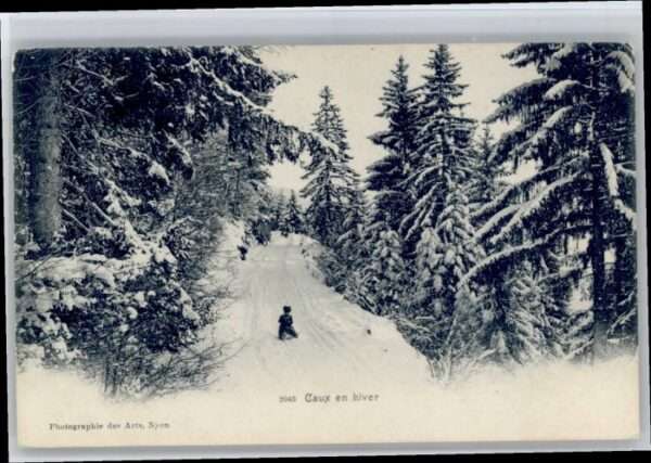 Nyon VD Nyon [Photo] Chaux en hiver