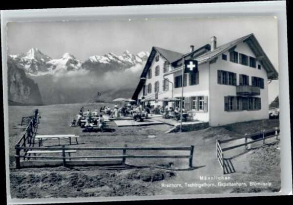 Maennlichen reithorn Tschingelhorn Blümlisalp *