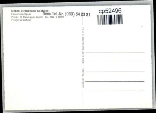 Spiez BE Spiez Strand Hotel Seeblick Fliegeraufn – Bild 2