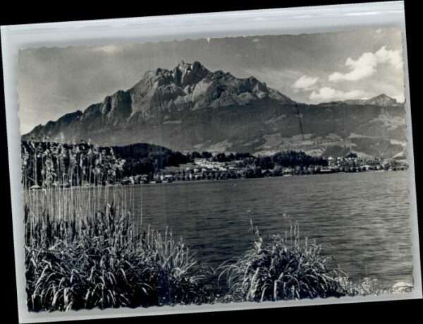 Luzern LU Luzern Tribschen