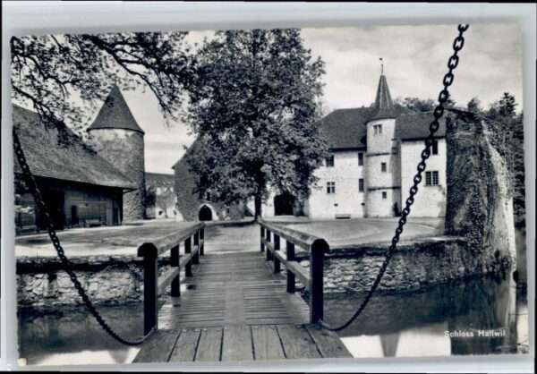 Hallwil Schloss