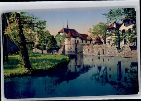 Hallwil Schloss