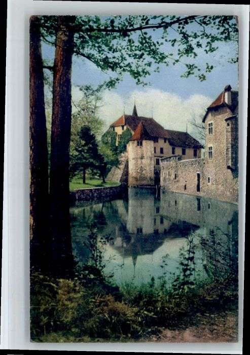 Hallwil Schloss