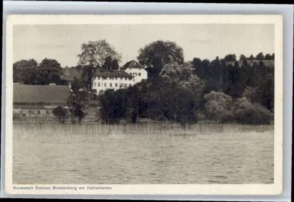 Hallwil Kuranstalt Schloss Brestenberg Hallwile