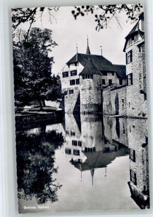 Hallwil Schloss
