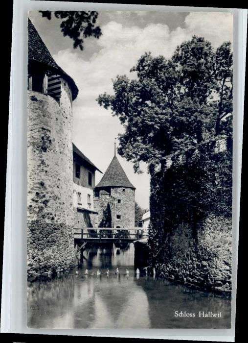 Hallwil Schloss