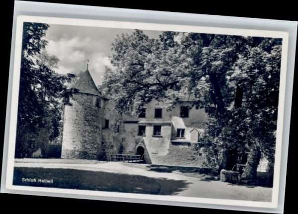 Hallwil Schloss