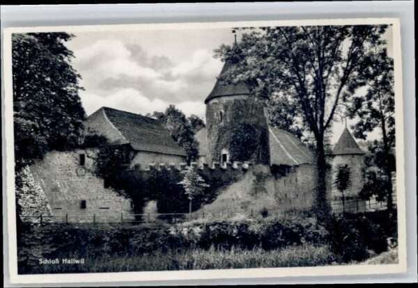 Hallwil Schloss
