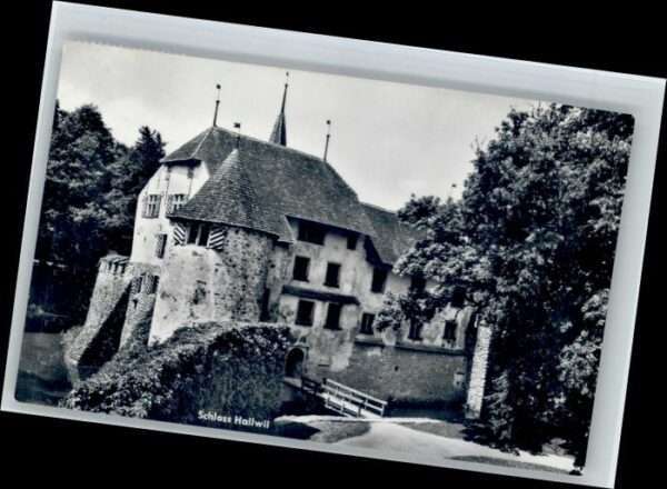 Hallwil Schloss