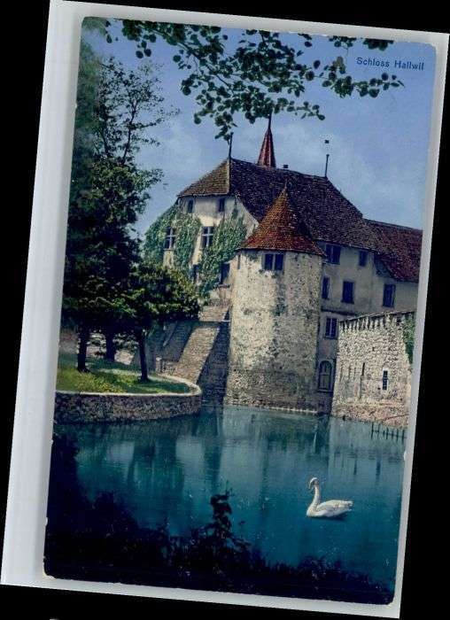 Hallwil Schloss