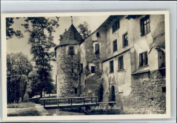 Hallwil Schloss