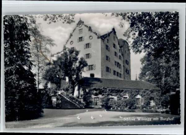 Wildegg Schloss