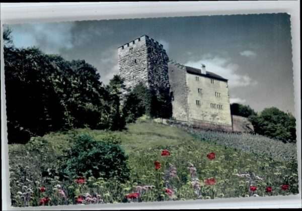 Habsburg Schloss