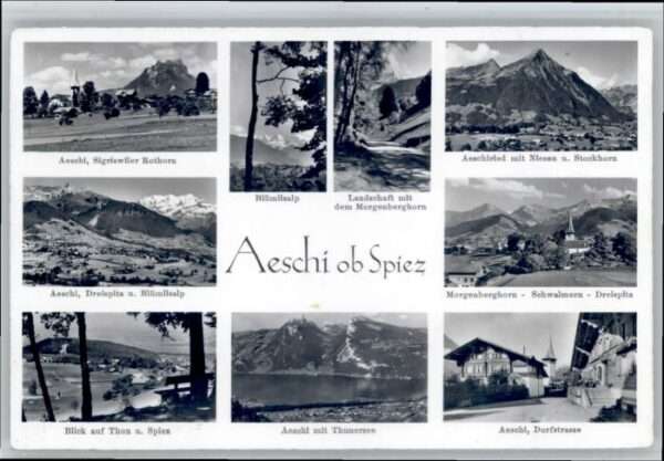Aeschi Spiez Thunersee Schwalmern Niesen Stockhorn S