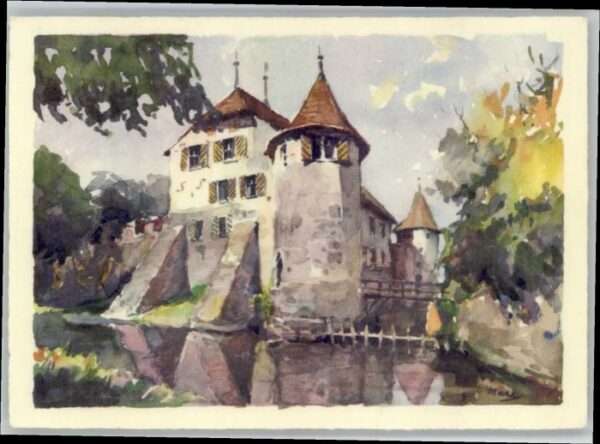 Hallwil Schloss