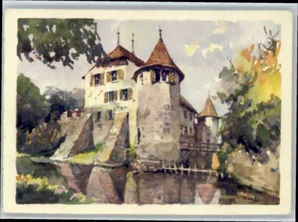 Hallwil Schloss