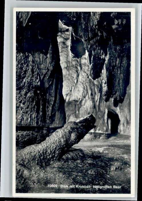 Baar ZG Baar Dom mit Krokodil Höllgrotte