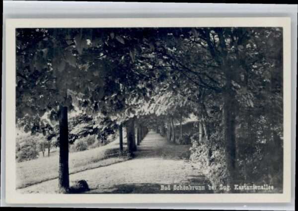 Bad Schoenbrunn Menzingen ZG
