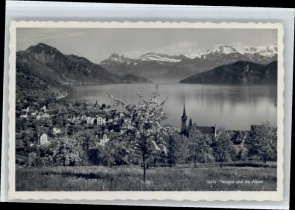 Weggis Vierwaldstaettersee Weggis